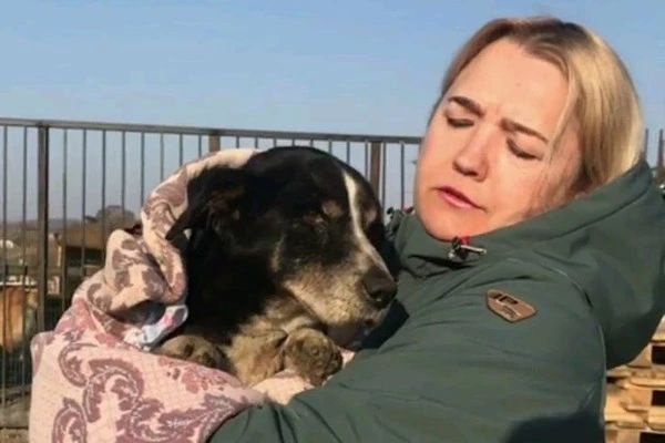 18歲愛(ài)犬離世，主人含淚埋葬，結(jié)果第二天它卻出現(xiàn)在收容所…詐