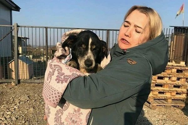 18歲愛(ài)犬離世，主人含淚埋葬，結(jié)果第二天它卻出現(xiàn)在收容所…詐