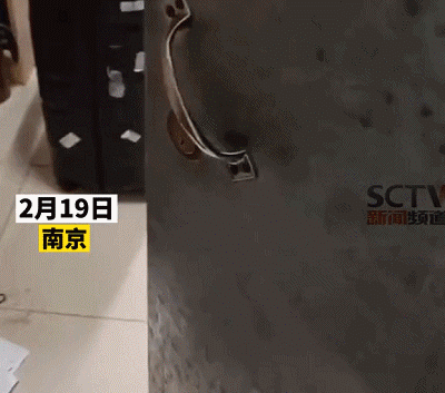 開(kāi)學(xué)發(fā)現(xiàn)宿舍被貓占領(lǐng)，有躺床上睡覺(jué)的，有生娃坐月子的…學(xué)生：
