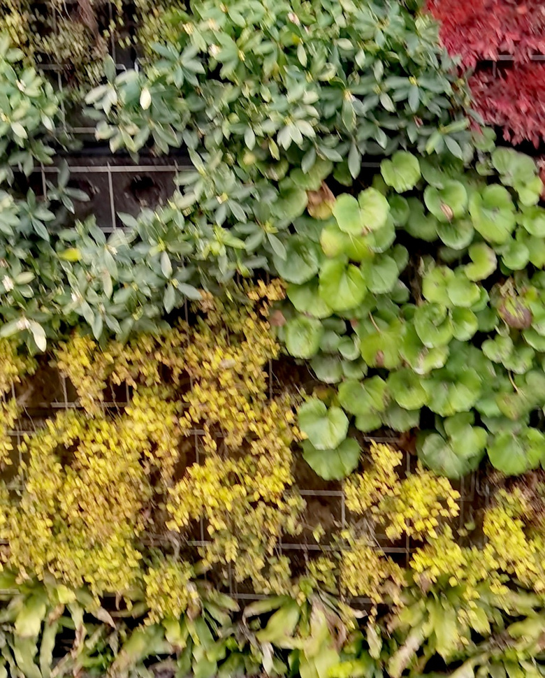 紺Ļ