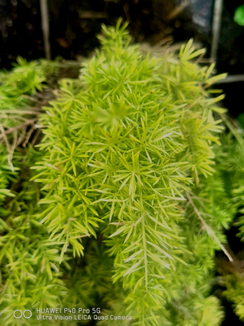 紺Ļ