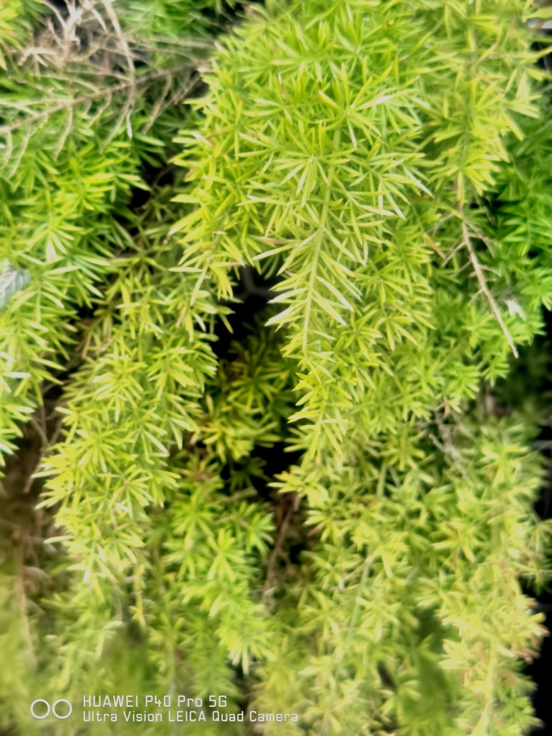 紺Ļ