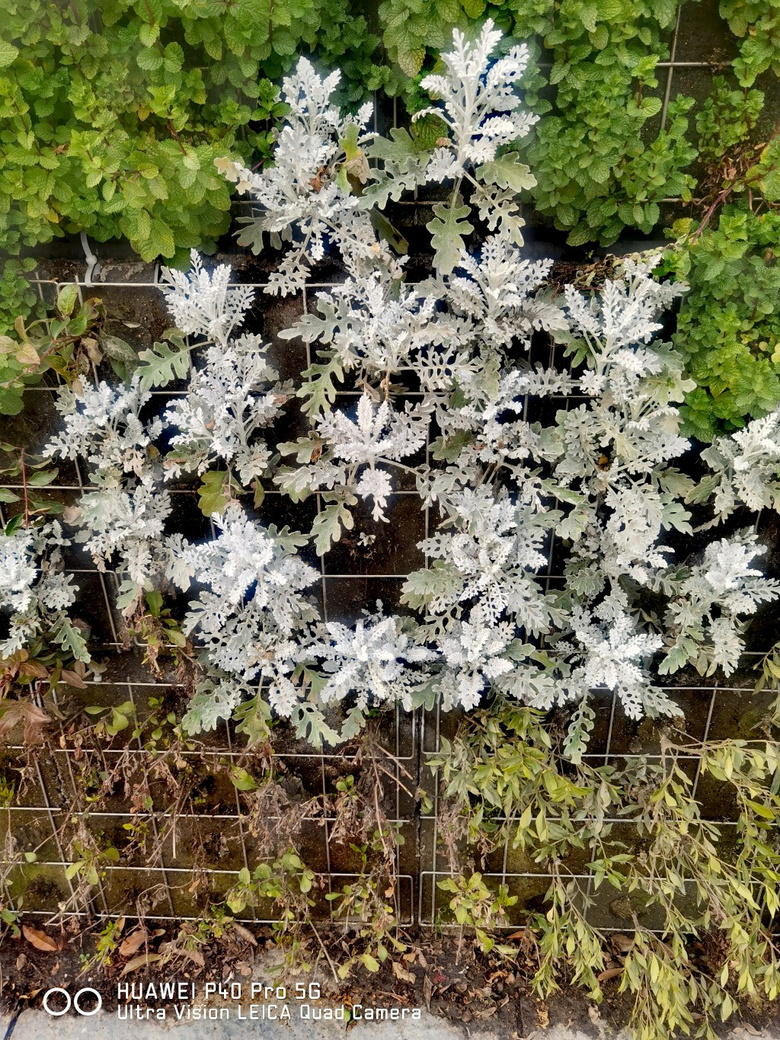 紺Ļ