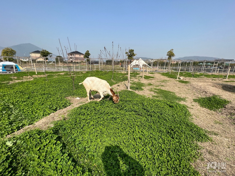 《旅行杭州》—下楊村（上集）