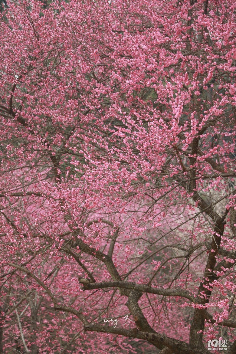 r(sh)g(hu)ֹͣ@(g)ֻܱID