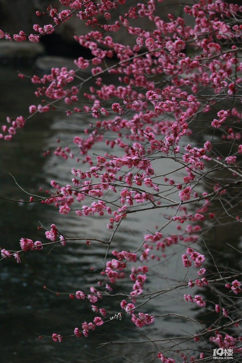 r(sh)g(hu)ֹͣ@(g)ֻܱID