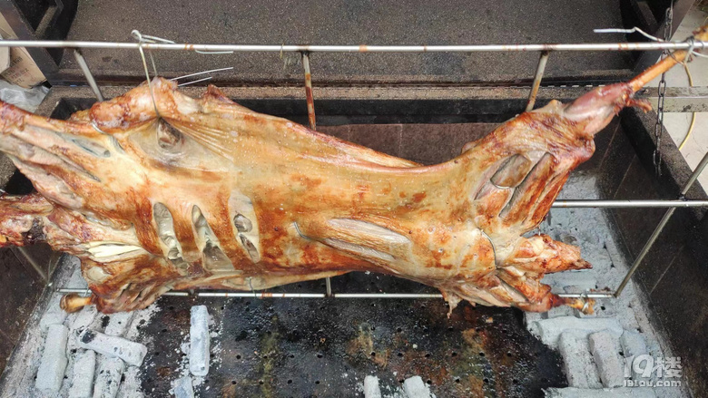 ݈F(tun)ȫ