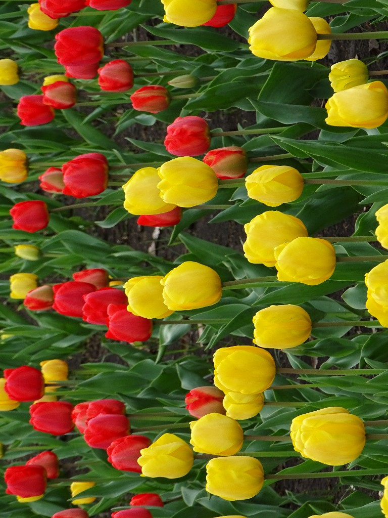 ̫Ӟ֮