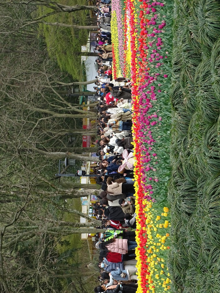 ̫Ӟ֮