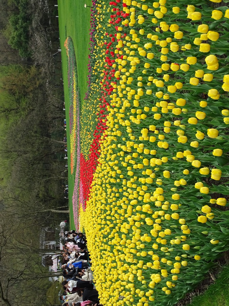 ̫Ӟ֮