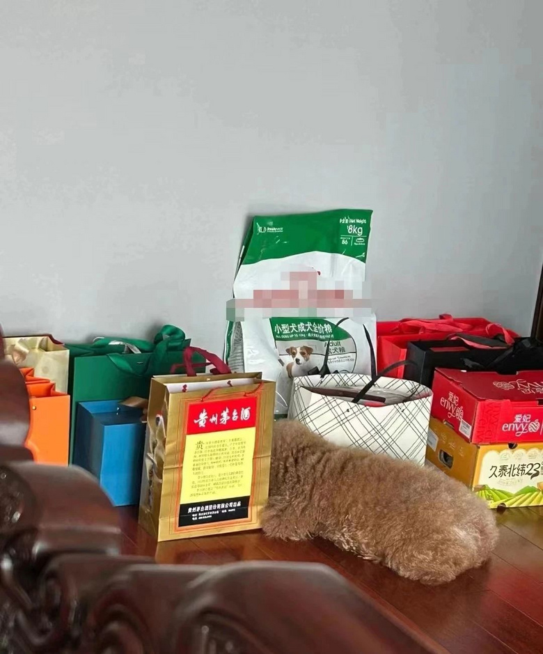男友第一次見家長不忘給狗子準(zhǔn)備一堆禮物，小狗舅看呆：我姐不嫁