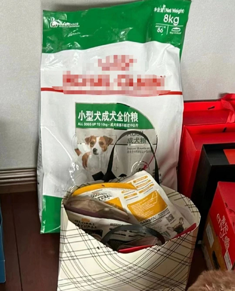 男友第一次見家長不忘給狗子準(zhǔn)備一堆禮物，小狗舅看呆：我姐不嫁