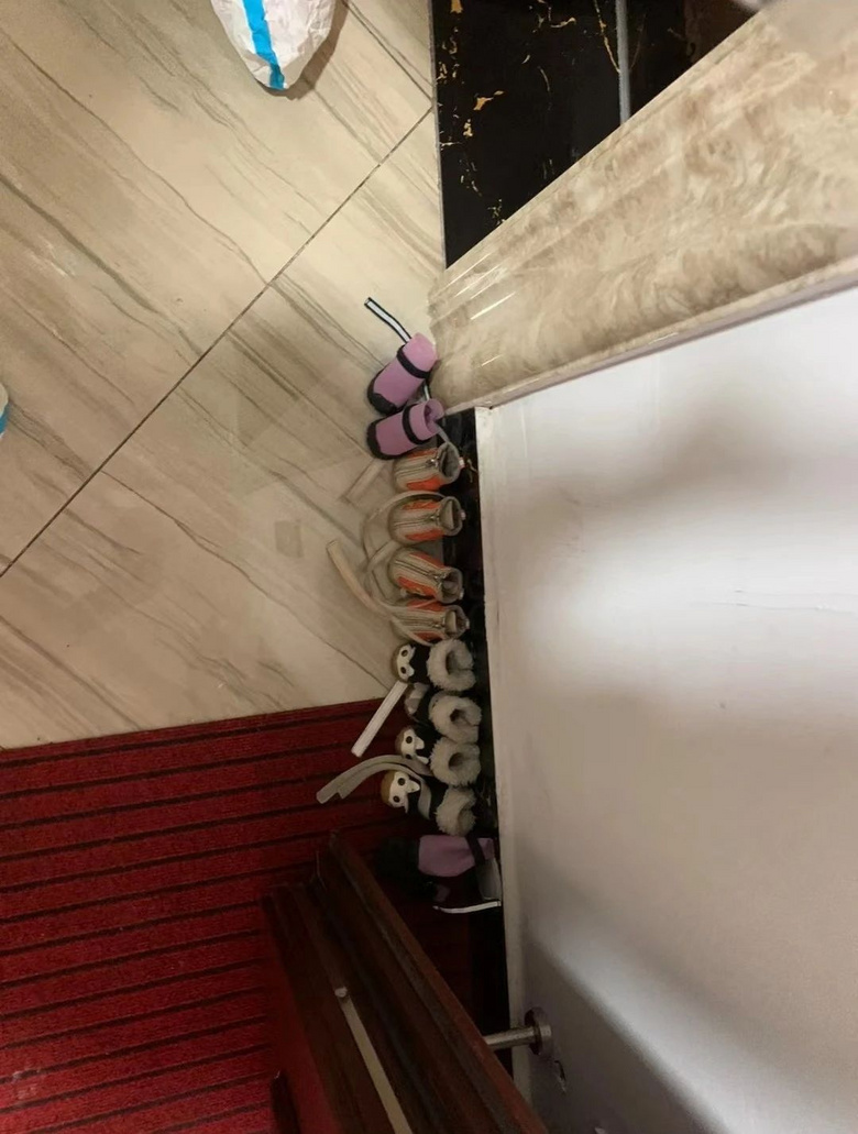 男友第一次見家長不忘給狗子準(zhǔn)備一堆禮物，小狗舅看呆：我姐不嫁