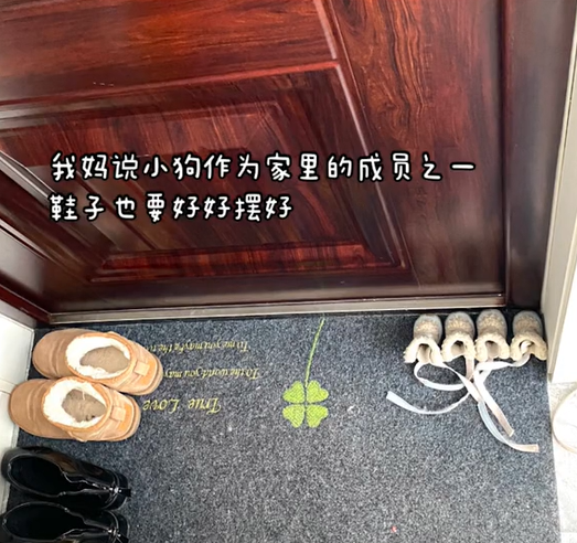 男友第一次見家長不忘給狗子準(zhǔn)備一堆禮物，小狗舅看呆：我姐不嫁