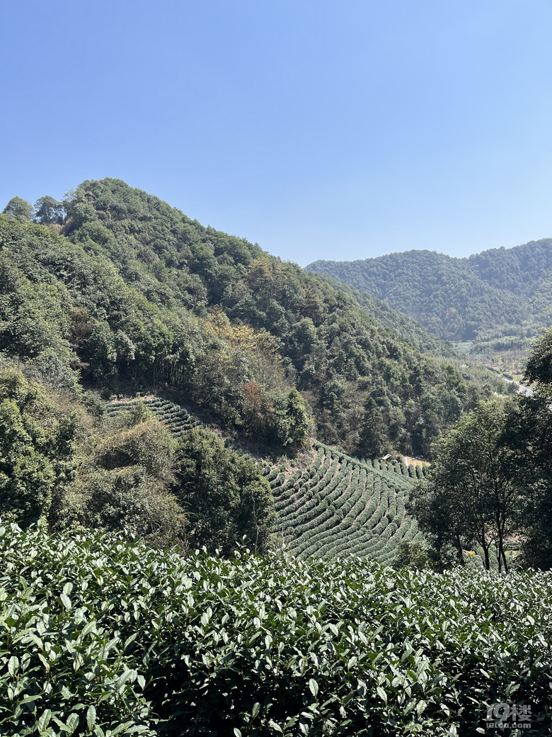 千島湖水就是從這個大碗流入杭州千家萬戶
