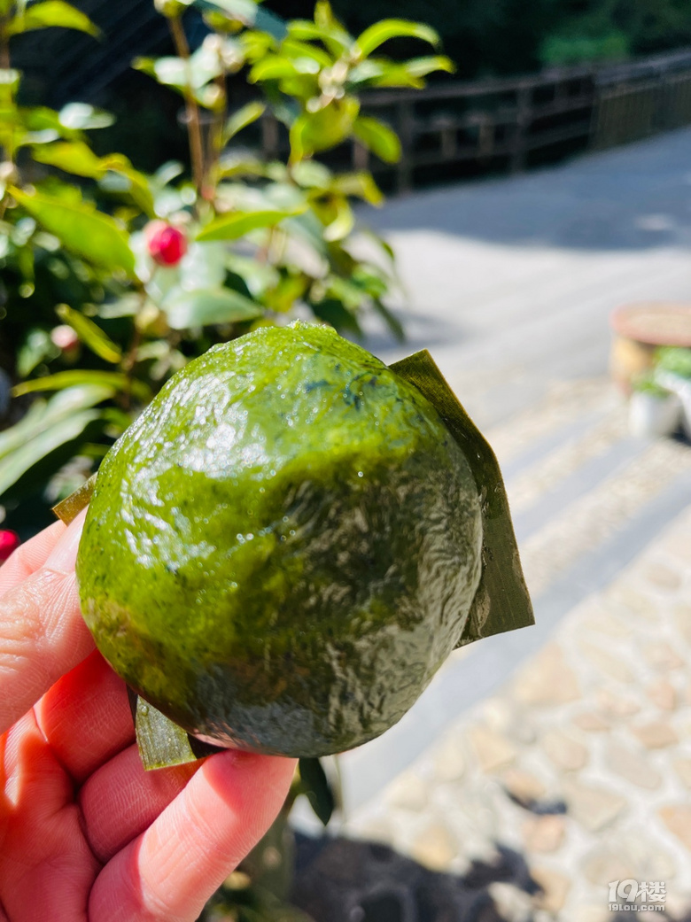 春天的味道