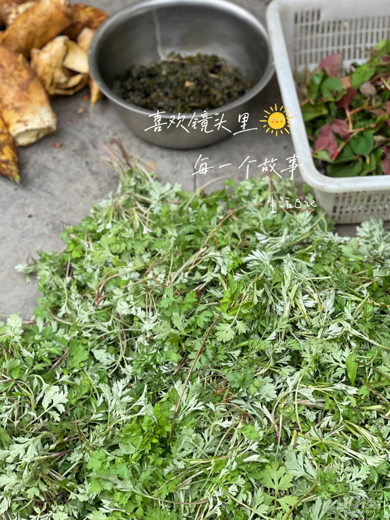 春天的味道