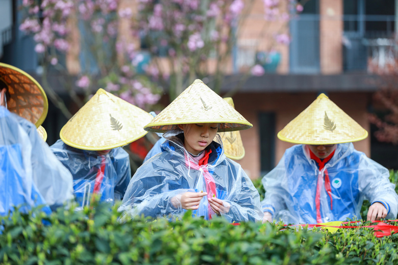 X³ǌ(sh)(yn)W(xu)УЌW(xu)