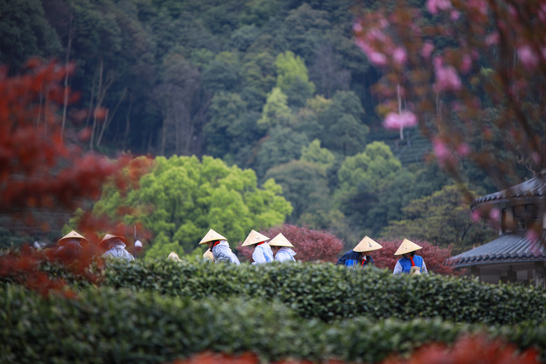 X³ǌ(sh)(yn)W(xu)УЌW(xu)