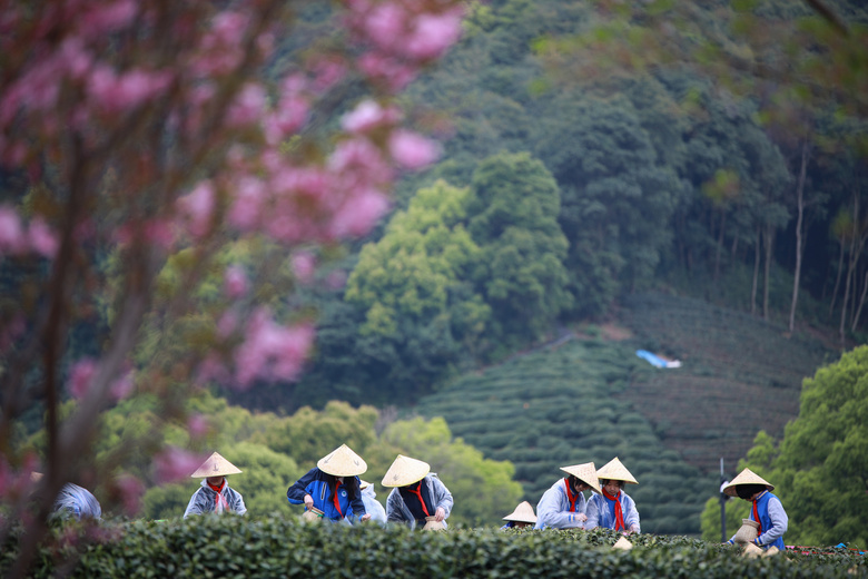 X³ǌ(sh)(yn)W(xu)УЌW(xu)