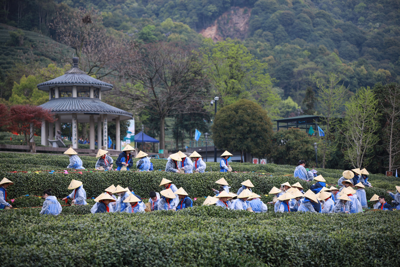 X³ǌ(sh)(yn)W(xu)УЌW(xu)