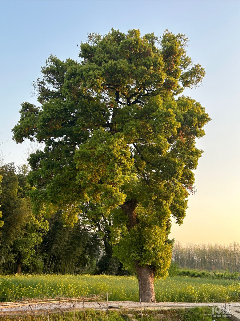 ˮL棬ÿƬ~ӶWâ¶IÕr⡣