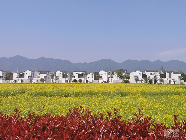 ˮLÿƬ~ӶWâ¶IÕr⡣