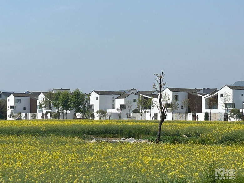 ˮLÿƬ~ӶWâ¶IÕr