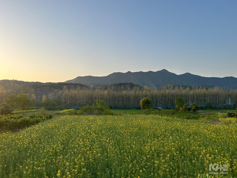 ˮLÿƬ~ӶWâ¶IÕr