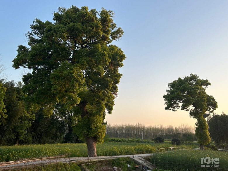 ˮLÿƬ~ӶWâ¶IÕr