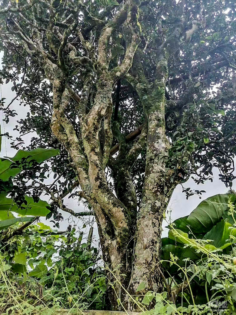 LԳϬBˮĥȺ缉(j)L(fng)֮