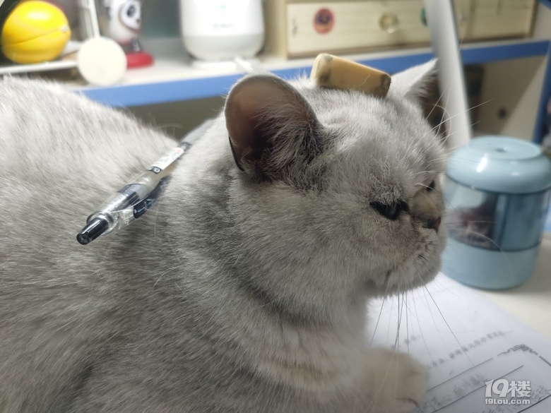 mȻһԇ
