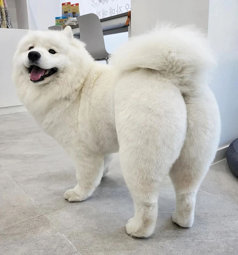 _ĦҮȥݣY(ji)֮Nƨ۹