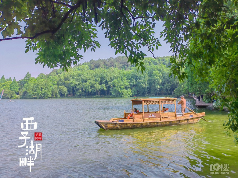 初夏的西湖