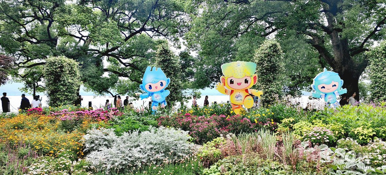 杭州亞運會越來越近了，西湖邊喜迎亞運氣氛越來越濃了.