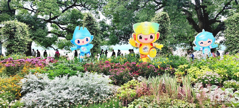 杭州亞運會越來越近了，西湖邊喜迎亞運氣氛越來越濃了.