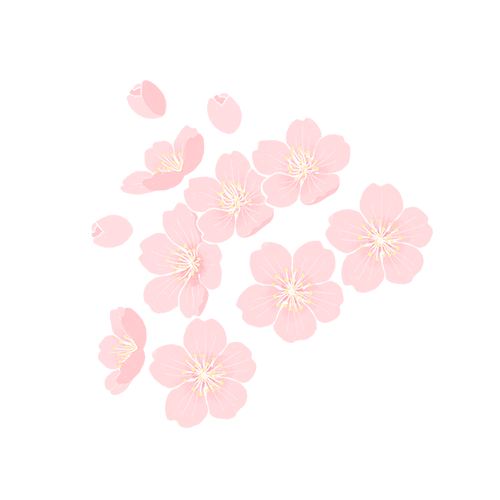 ̫(hu)!