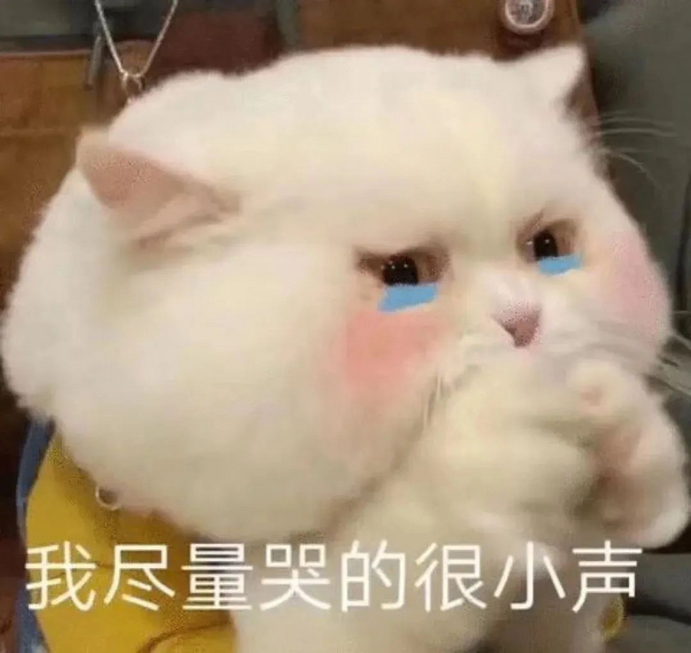 房子著火連燒3天，主人以為貓死了哭著祭奠…貓聽見動靜跑出來：