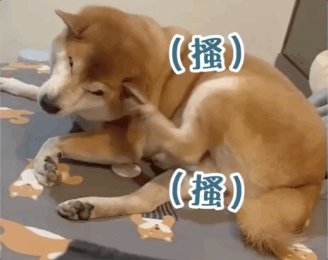 網(wǎng)友回家看見狗狗抱著自己內(nèi)衣癱軟在地..“喂，別死��！”
