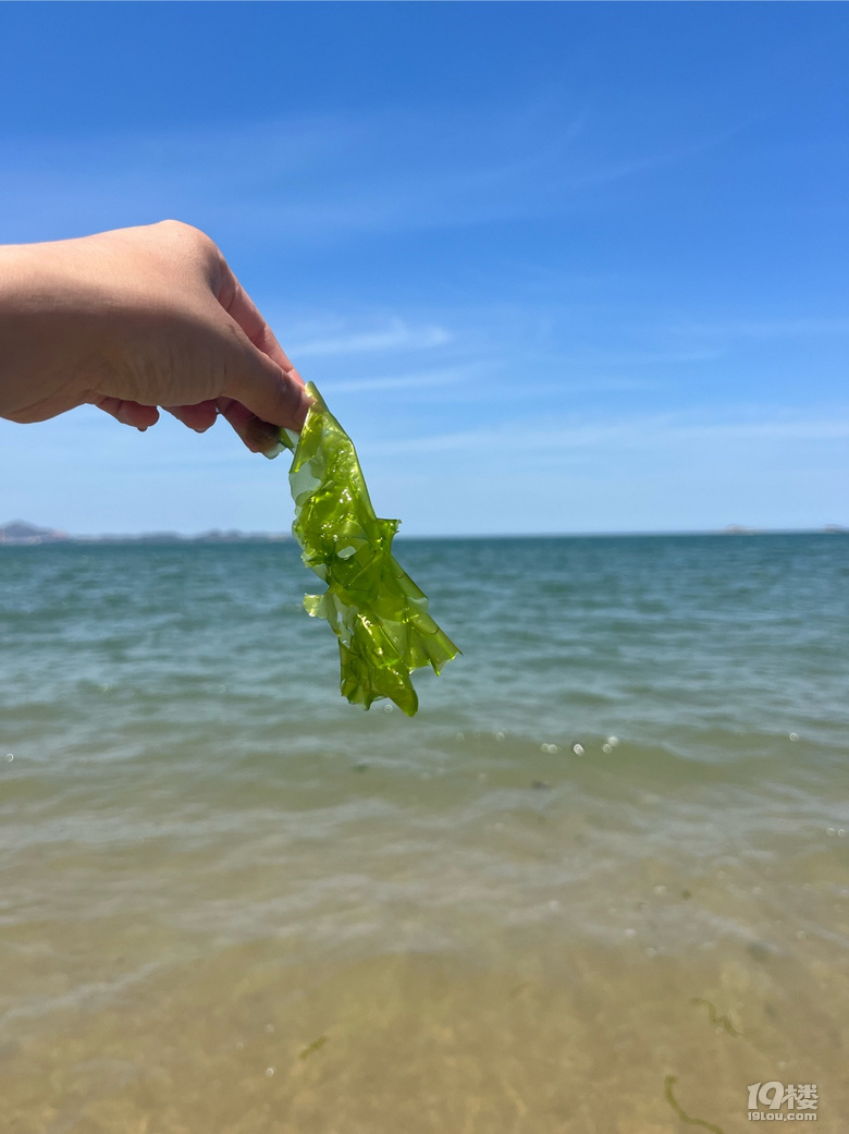 特種兵式旅游-煙臺周末2日游