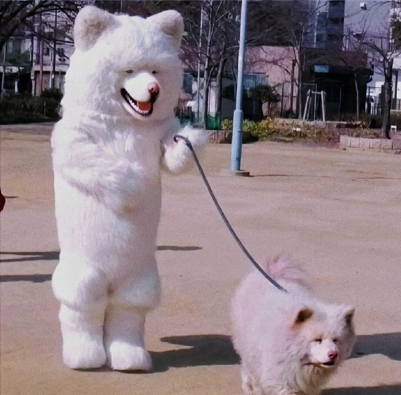 zȮ(zh)ڱŮӘ˲gӖҲ]P