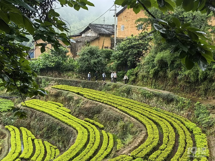 繝(ji)