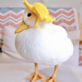 Dododuck