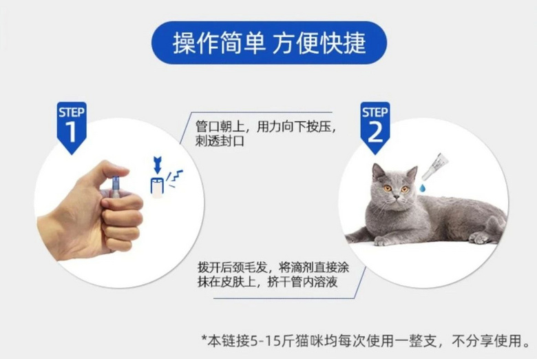 家里驚現(xiàn)飛蟲，橘胖化身蜘蛛俠，上墻一抓…也太牛了！