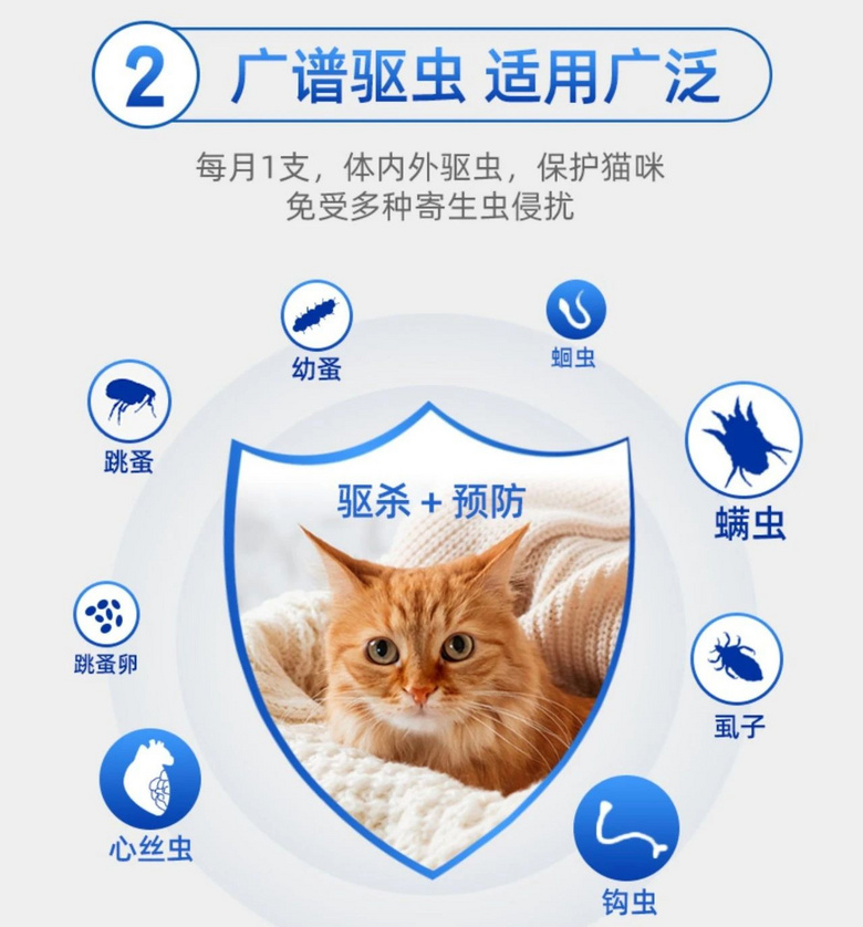 家里驚現(xiàn)飛蟲，橘胖化身蜘蛛俠，上墻一抓…也太牛了！