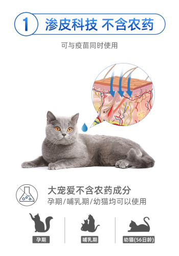 家里驚現(xiàn)飛蟲，橘胖化身蜘蛛俠，上墻一抓…也太牛了！