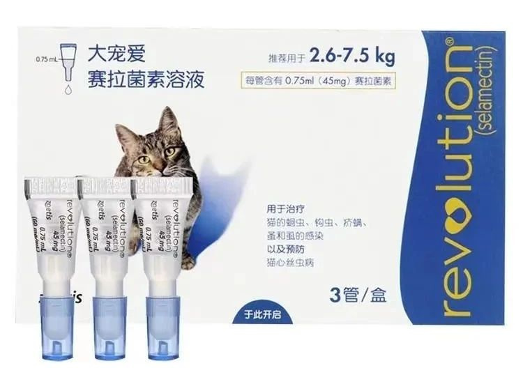 家里驚現(xiàn)飛蟲，橘胖化身蜘蛛俠，上墻一抓…也太牛了！