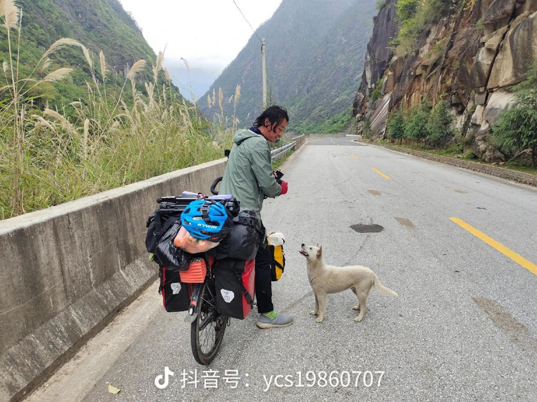 流浪狗跟小夫妻跑了200多公里，以為它想要個家，結果卻為了保