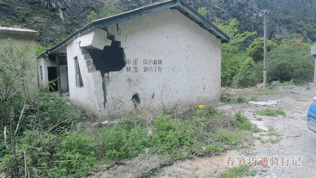 流浪狗跟小夫妻跑了200多公里，以為它想要個家，結果卻為了保