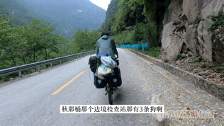流浪狗跟小夫妻跑了200多公里，以為它想要個家，結果卻為了保